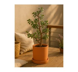 Macetero M Cilindro terracota Decogreen