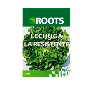Semilla de verdura Lechuga 3 g Roots