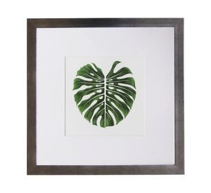 Cuadro Una hoja 50x50 cm