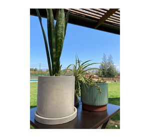 Macetero M Cilindro cemento Decogreen