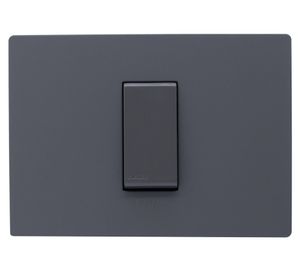 Interruptor conmutador 9/24 placa armada Línea S32 grey mate