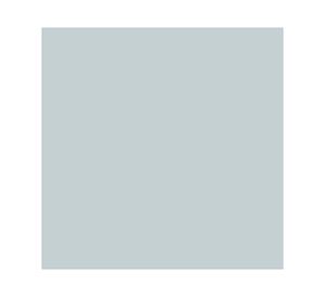 Spray imprimante zinsser 123 primer gris Zinsser