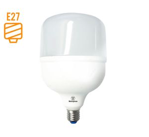 Ampolleta LED 60W E27 luz fría Tbulb