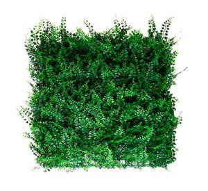 Jardín vertical helecho 50x50 cm Fern