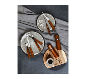 Juego 4 cuchillos + 4 tenedores