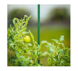 Tutor plantas 180 cm verde