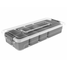 Caja organizadora plástica 2.5 lt cestos interiores