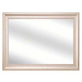 Espejo con marco champagne 75x105x2.7 cm