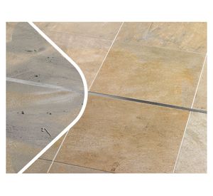 Limpiador de piso Deterdek 946 ml