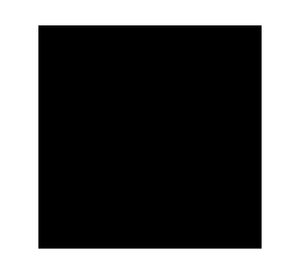 Pintura spray 340 ml Fusion 5X negro mate