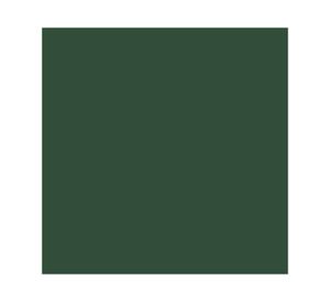 Pintura en spray Fusión moss mate 340 ml