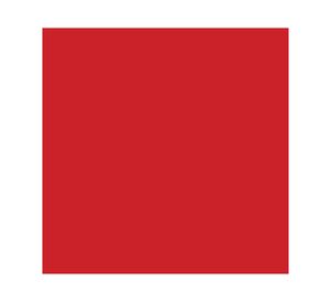 Pintura en spray Fusión red pepper 340 ml