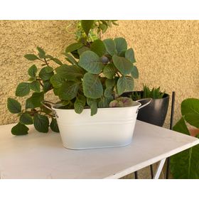 Macetero metálico blanco 12x24x10 cm