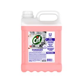 Desengrasante Concentrado Profesional 5 litros