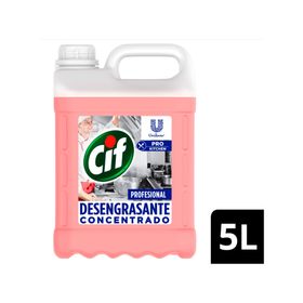 Desengrasante Concentrado Profesional 5 litros