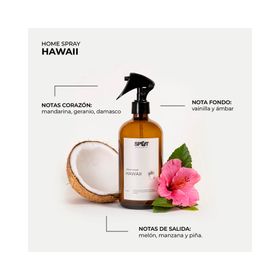 Aromatizador spray ámbar Hawaii 500 ml