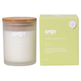 Vela aromática de soya natural Ipanema 220 g