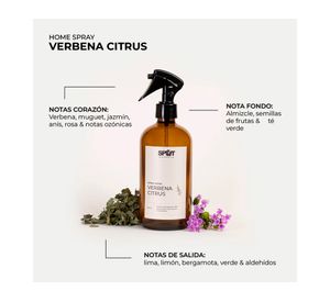 Aromatizador spray ámbar verbena citrus 500 ml