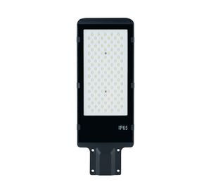 Luminaria recinto LED 100W luz día negro