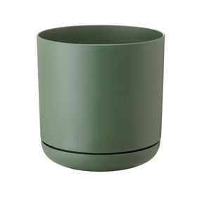 Maceta Oleander verde 15 cm