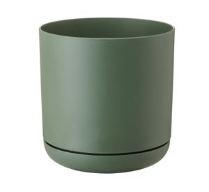 Maceta Oleander verde 15 cm