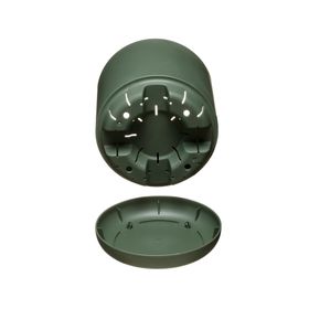 Maceta Oleander verde 15 cm