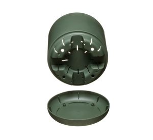 Maceta Oleander verde 15 cm