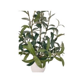Planta artificial con maceta Oliva