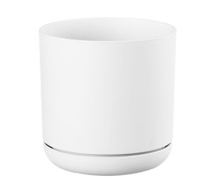 Maceta Oleander blanco 19 cm