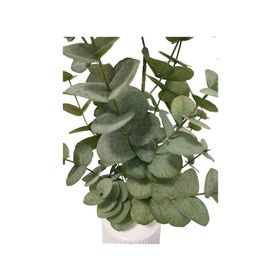 Planta artificial con maceta Eucalipto