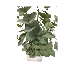Planta artificial con maceta Eucalipto