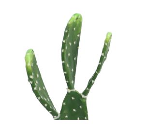 Cactus artificial maceta Atacama