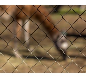 Malla perimetral Bizcocho tipo 5014 alambre galvanizado 1.5x25 mt