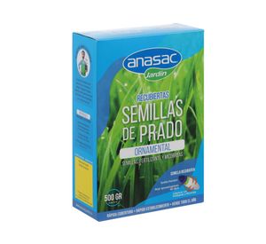 Mezcla semilla de pasto Prado ornamental 500 g