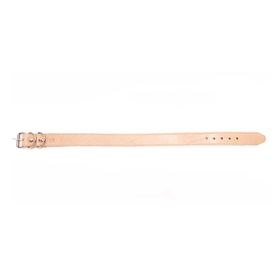 Collar perro M café Pets&Friends