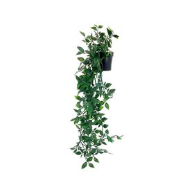 Planta artificial colgante 75 cm