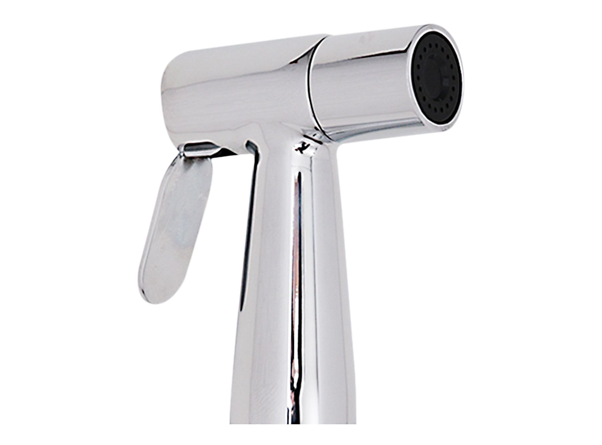 Ducha Bidé Cromado Tebisa