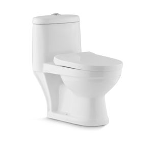 WC one piece piso 15 cm botón dual asiento cierre suave SD-301 blanco