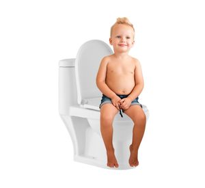 WC one piece piso 15 cm botón dual asiento cierre suave SD-301 blanco