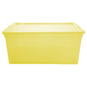 Caja organizadora lima plástico 18 lt