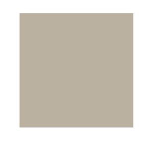 Pintura spray 340 g Ultra 5 en 1 almendra brillante