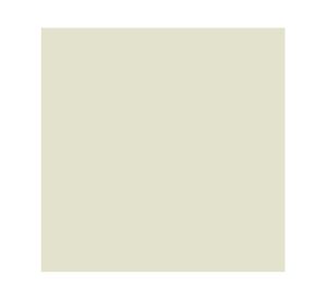 Esmalte al agua 1 Galón hogar y fachada Blanco Invierno satinado