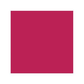 Pintura tizada 340 g Chalked rosa invierno