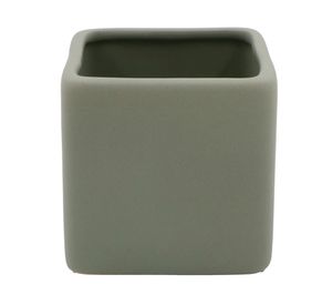 Portacepillos verde 8 cm