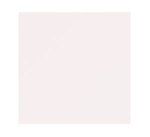 Impregnante 1 galón Tricostain natural Tricolor