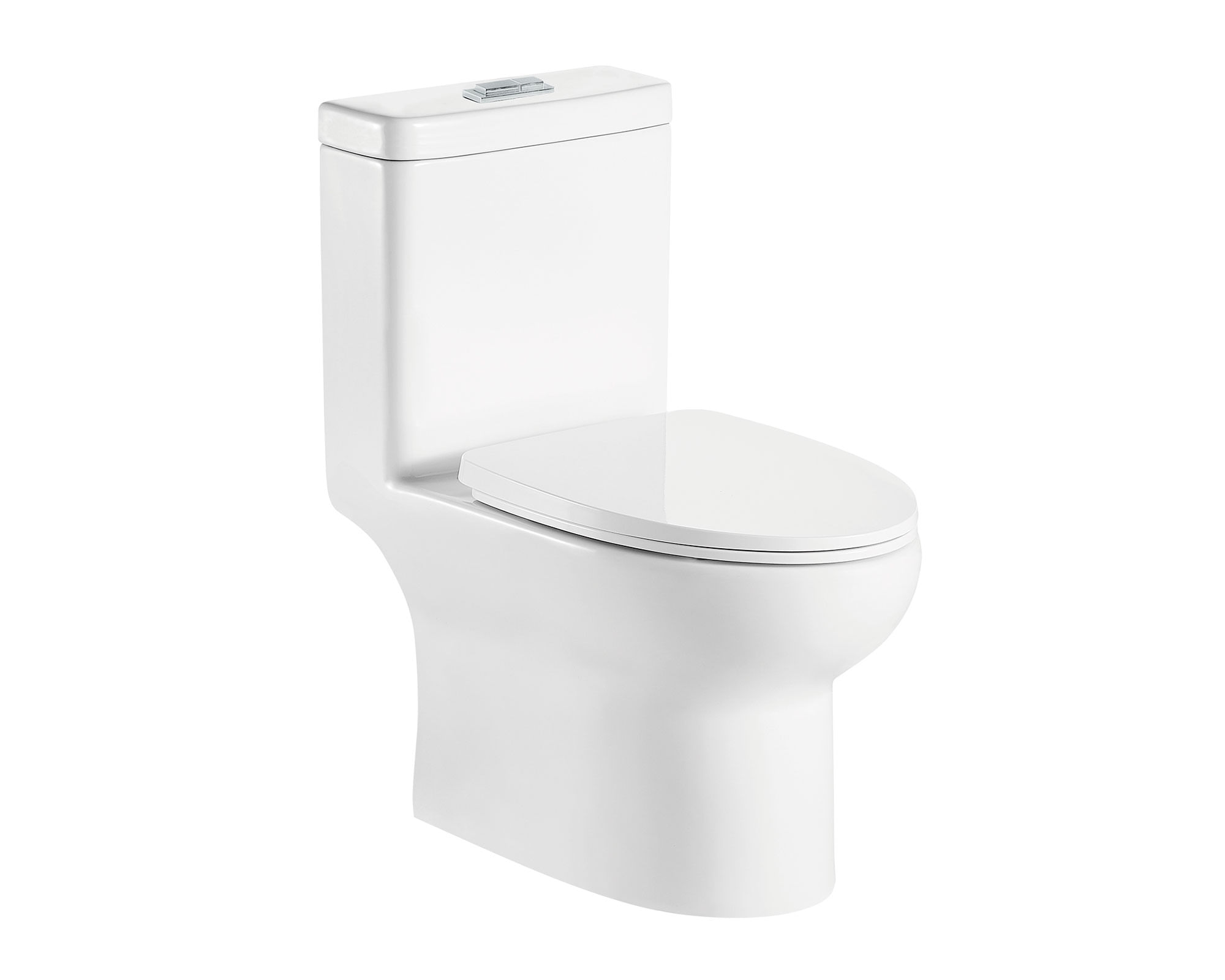One Piece 30,5 cm Eco Dual Flush Briggs