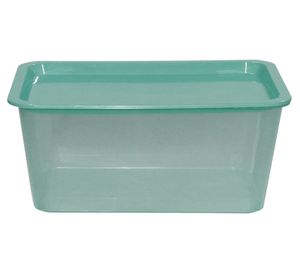 Caja organizadora salvia 6 lt
