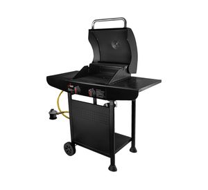 Parrilla a gas 2 quemadores