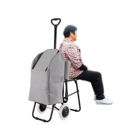 Carro de compras 20 kg Premium Cotidiana.