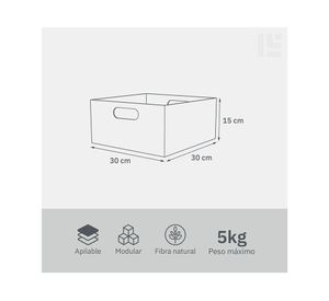 Caja modular con asas bajo 15x30x30 cm